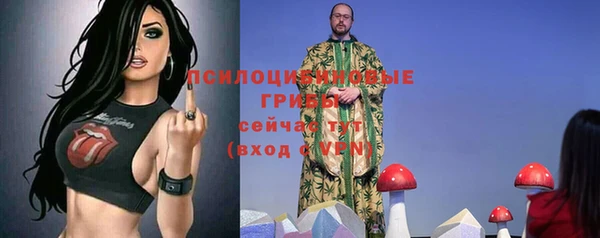 винт Абаза