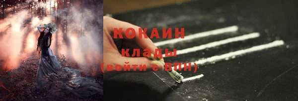 винт Абаза