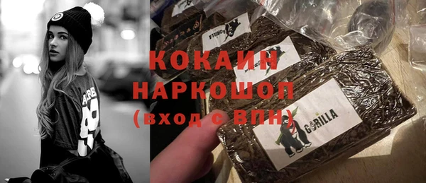 винт Абаза