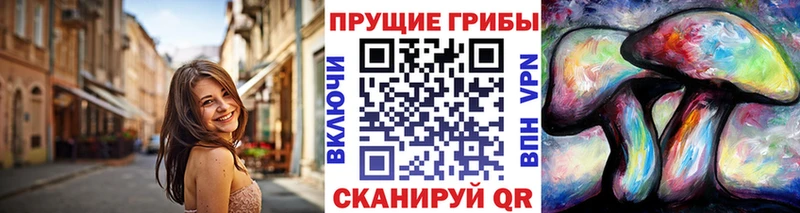 Галлюциногенные грибы Cubensis  цена   Инсар 